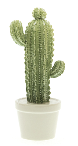 Cactus Medio