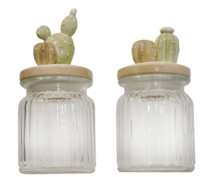Barattoli Cactus