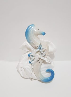 Cavalluccio marino Stella marina