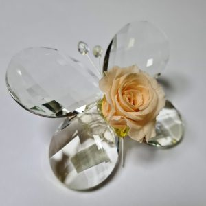 Farfalla rosa stabilizzata