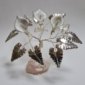 Pianta calle su pietra